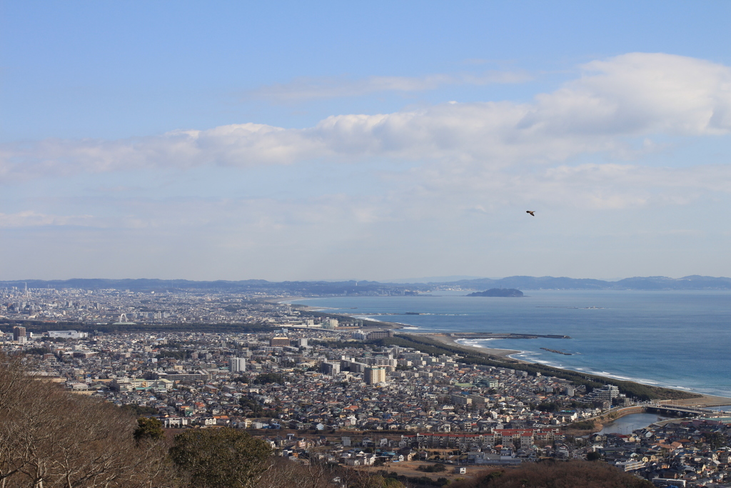 湘南平から江の島方面を望む