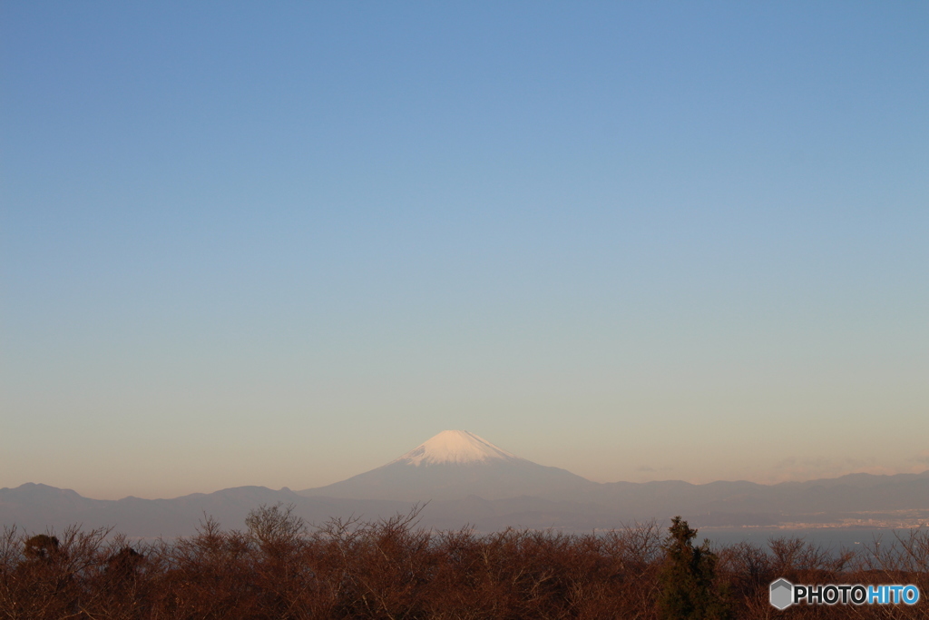 大楠山から