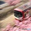 河津桜と新１０００形