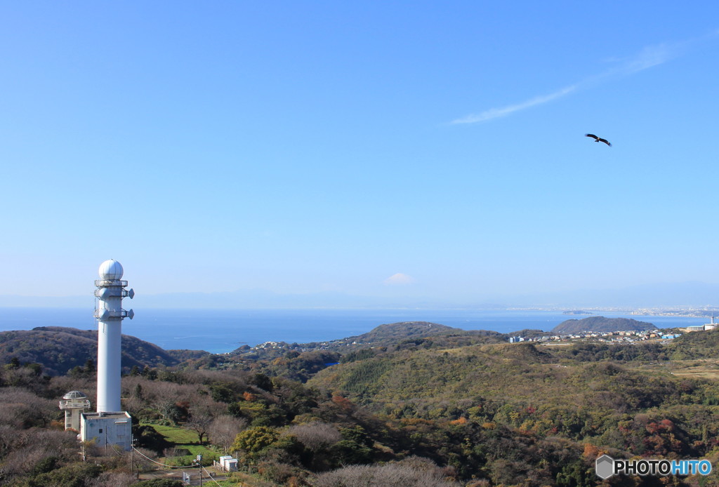 今日の大楠山