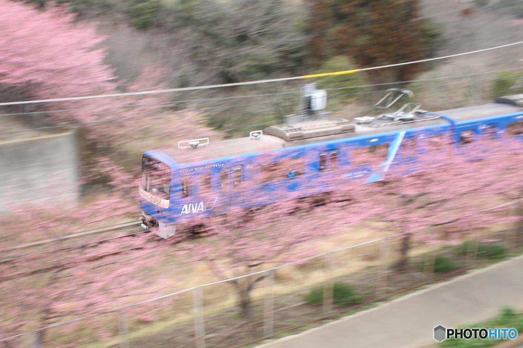 青い京急