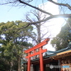 山王日枝神社末社