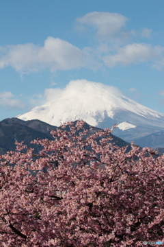 西平畑公園から