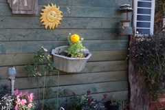 驚かせちゃったわネ