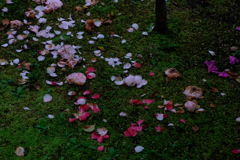 中華 散華