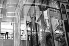 お上りさんが見上げる