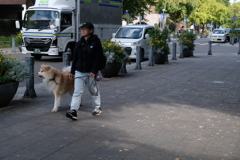 犬派