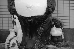 親子どん