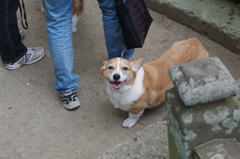ワン.