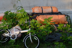 片瀬漁港の廃材置き場