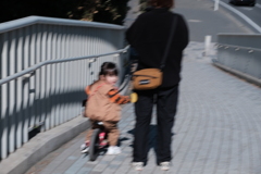 ふりかえり橋