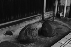 黒塀