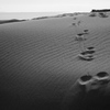 砂の記憶