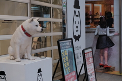 看板犬vs看板娘