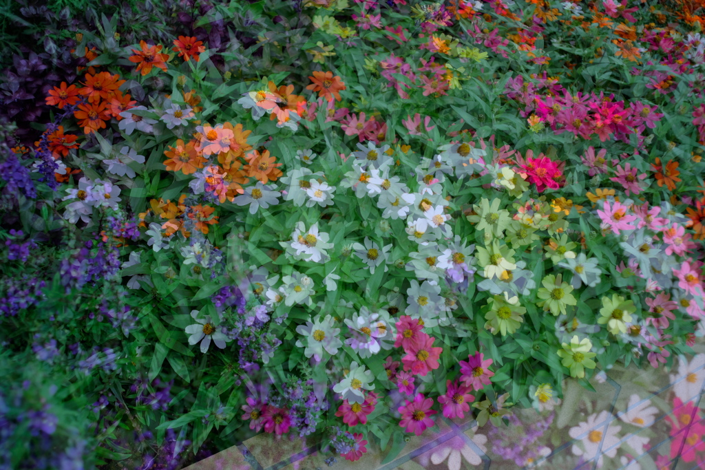 花壇