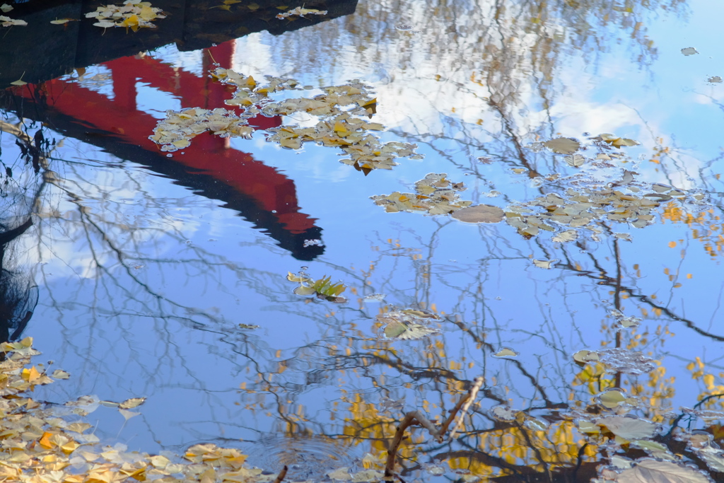 湖面の秋