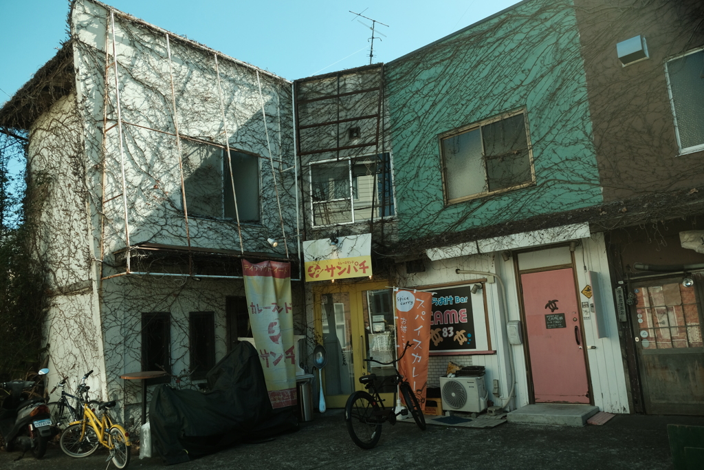 ツタ屋