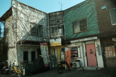 ツタ屋