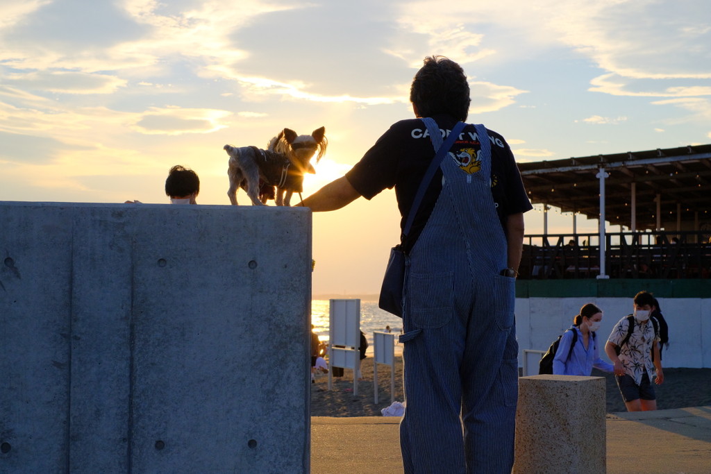 夕陽のワンとマン