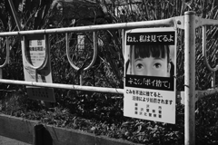 ねえ