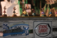 HULA stage