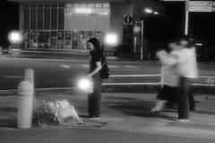 なんでも探偵団 なんでも探偵団
