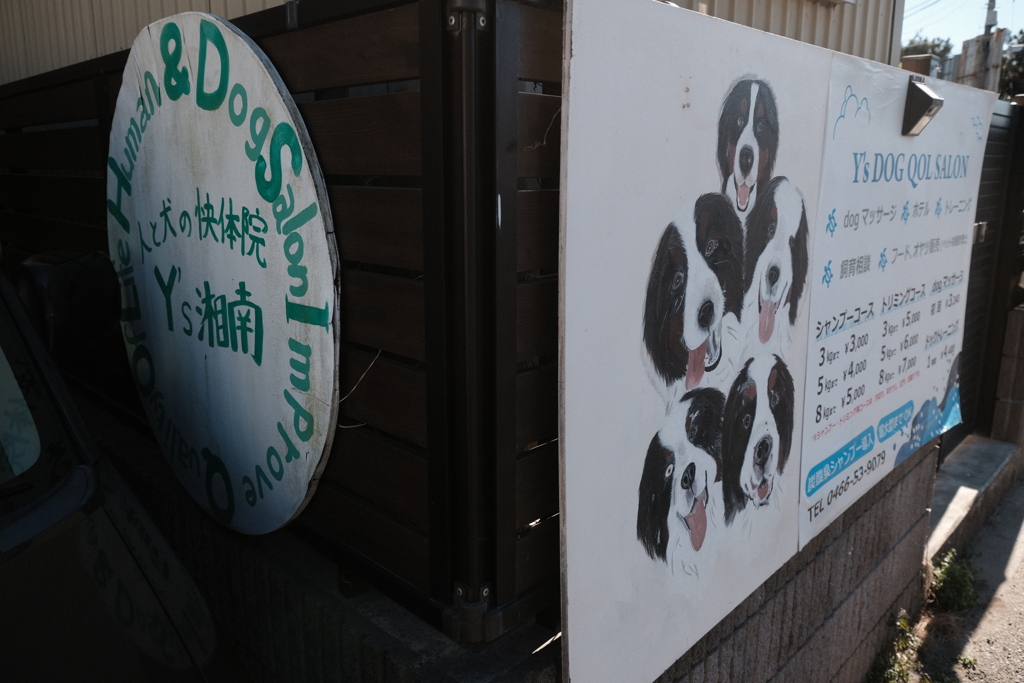 犬の快体院