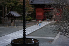 輪廻の風景