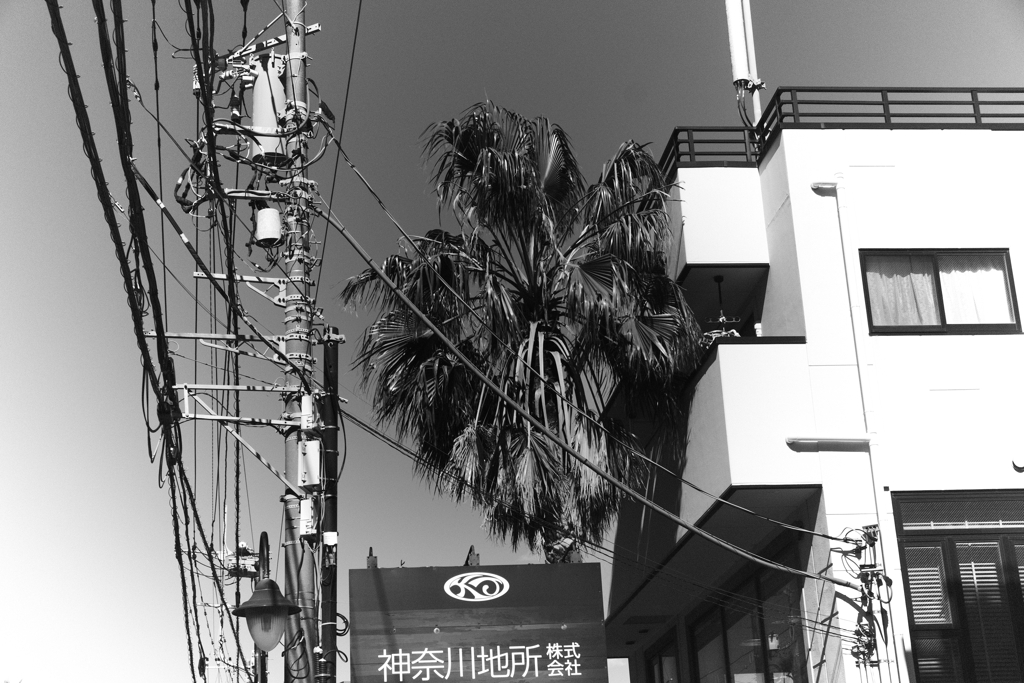 神奈川地所