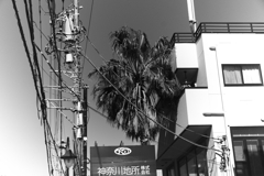 神奈川地所