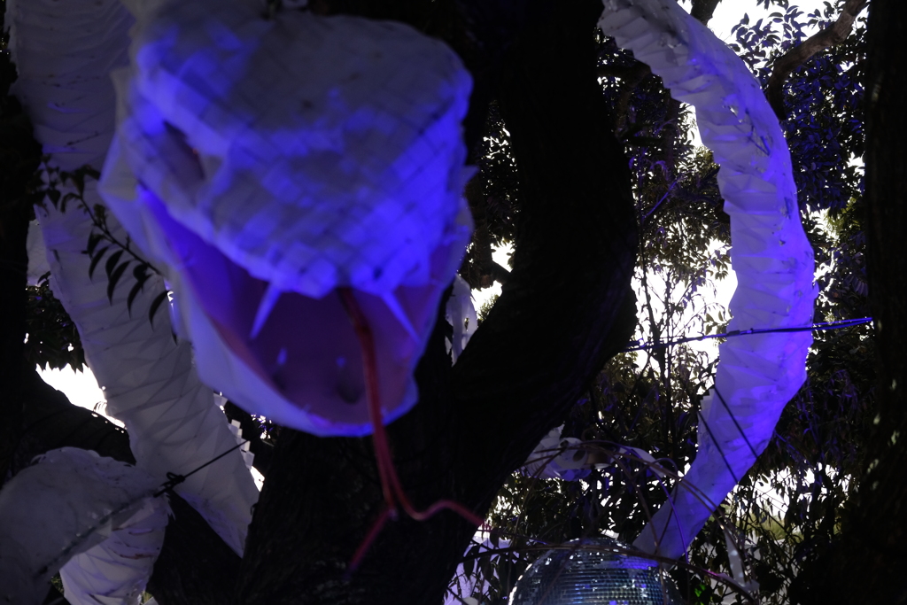 ブルーブラッド