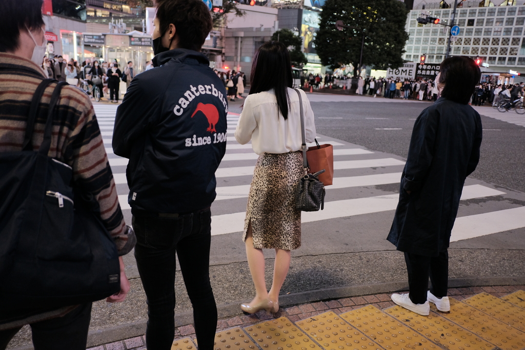 女豹のように