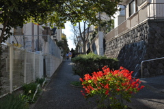 新春路地裏初サンポ