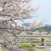 鴨川