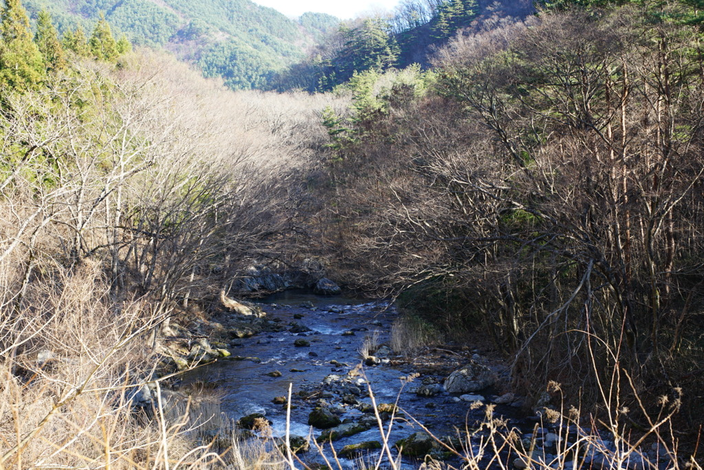 川の風景