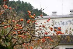 秋月