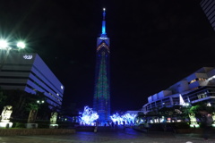 博多イルミネーション