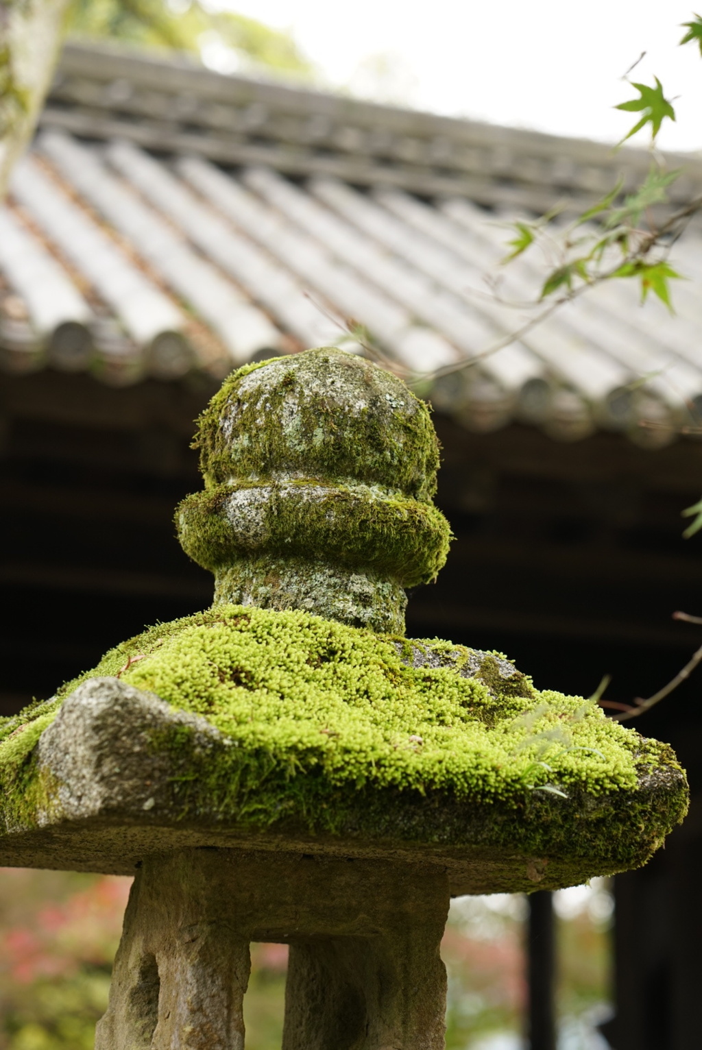 秋月