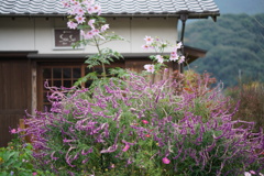 秋月