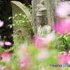 般若寺2018_05