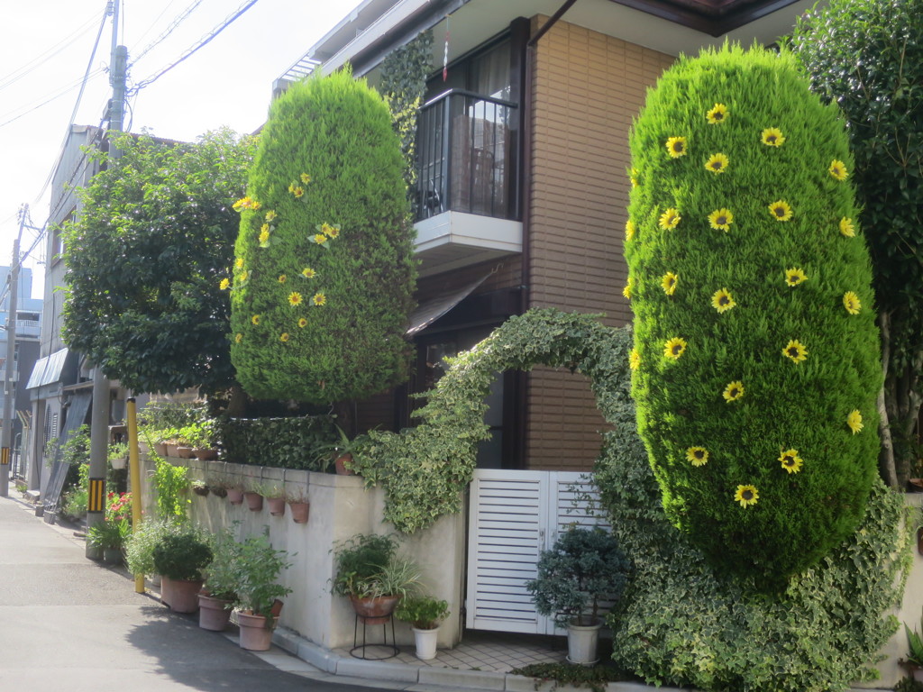 どうなってるんだろう…