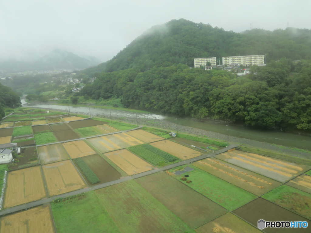 カラフルな田畑