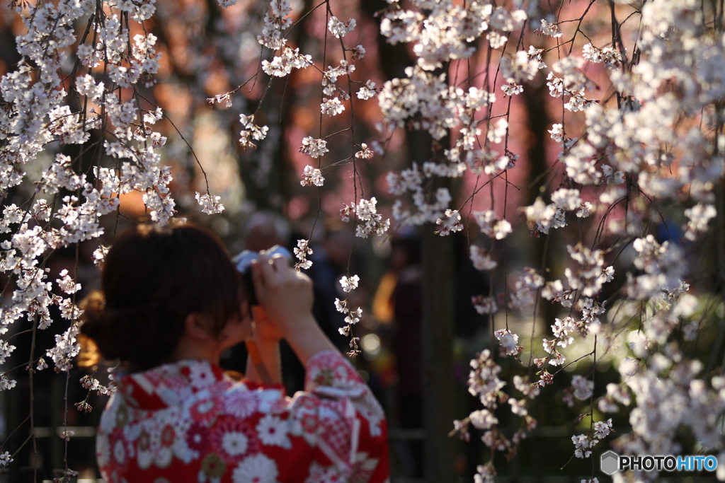 女性は接写がお好き