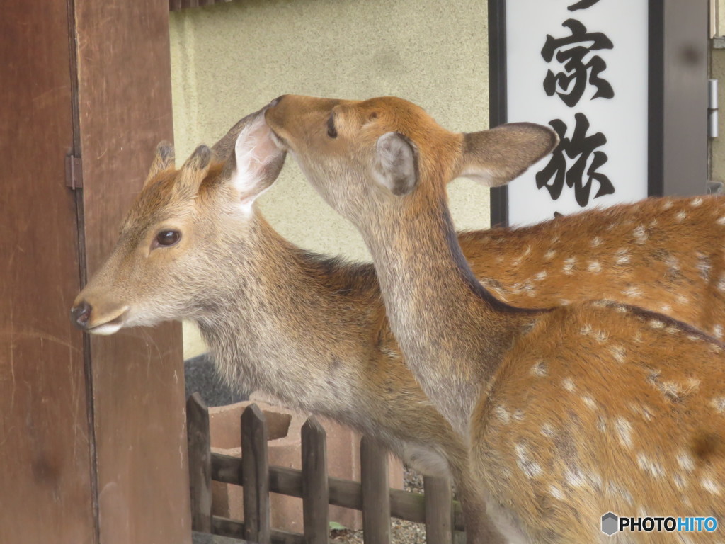 内緒話