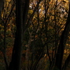 PENTAX55mmF1.8