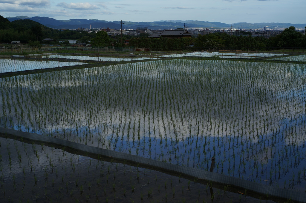 水鏡