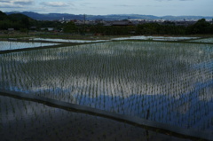 水鏡