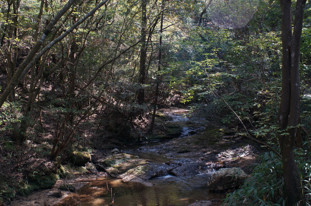 rokkorMD24mmF2.8