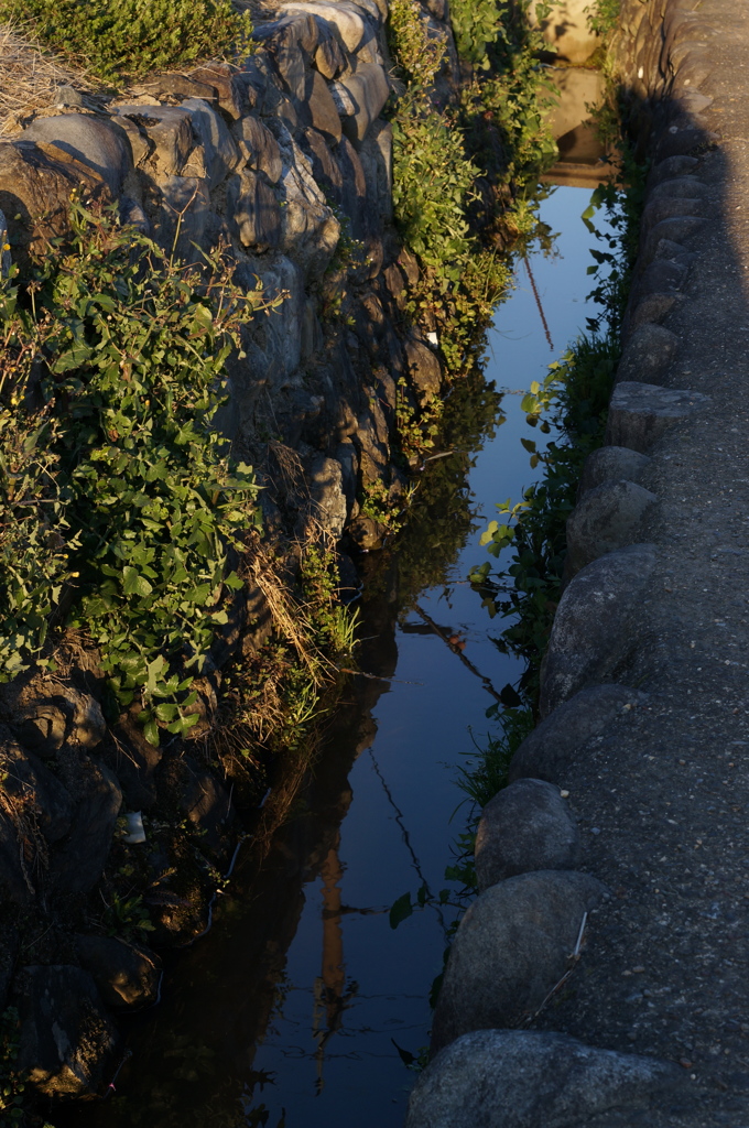 CONTAX　Carl Zeiss 　Planar T* 45mm F2