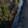 CONTAX　Carl Zeiss 　Planar T* 45mm F2